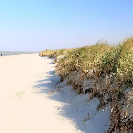 49 2 S Waterkant Apartment