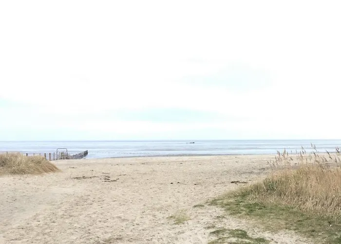 Daire 49 2 S Waterkant