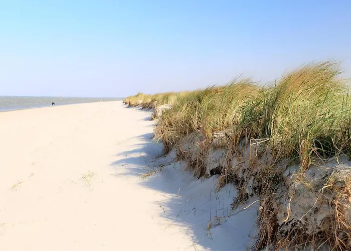 49 2 S Waterkant Daire